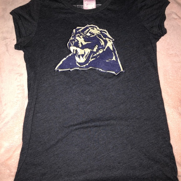 2010 PINK Collegiate Collection PItt Panthers! - Picture 6 of 6